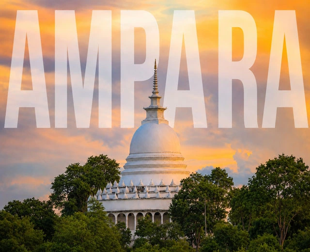 Ampara-Branch-Image